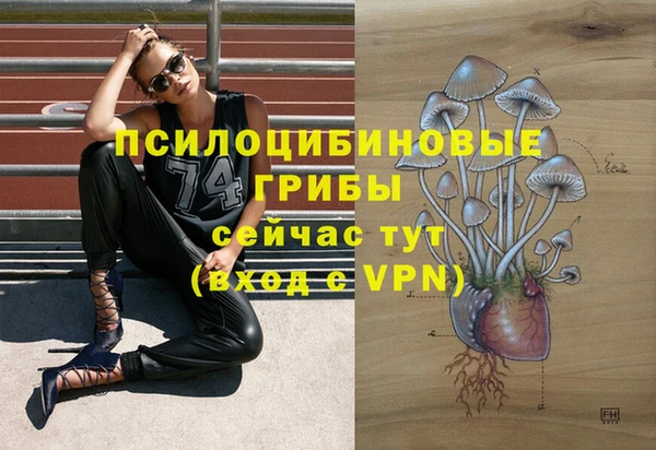 круглые Алзамай